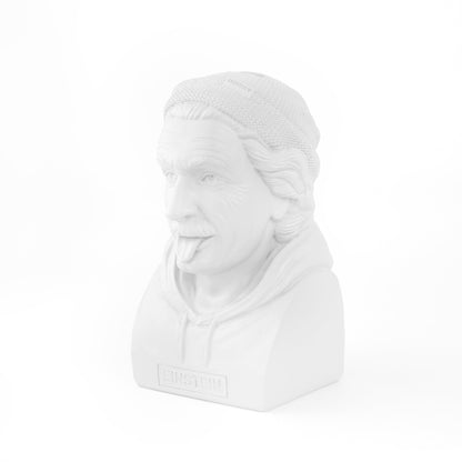 Einstein piggy bank - Historic Hipster