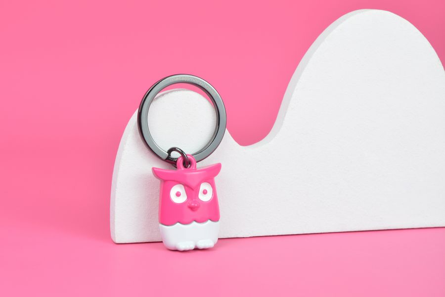 Pink owl key door